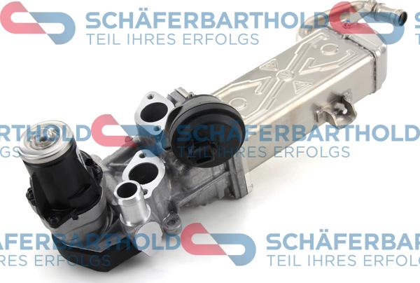 Schferbarthold 312 18 384 01 11 - EGR Valf furqanavto.az