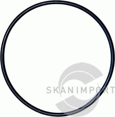 SKANIMPORT PB-7525 - Mühür, qığılcım şamının sapı furqanavto.az