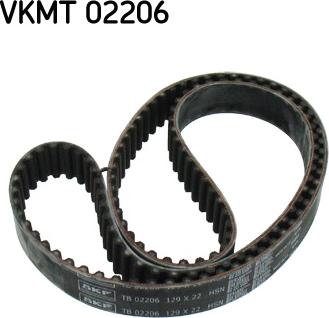 SKF VKMT 02206 - Vaxt kəməri furqanavto.az