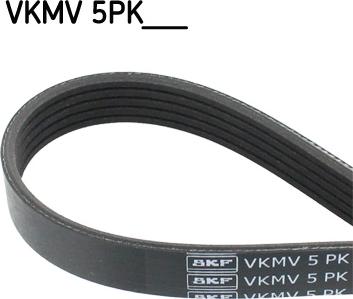 SKF VKMV 5PK1646 - V-yivli kəmər furqanavto.az