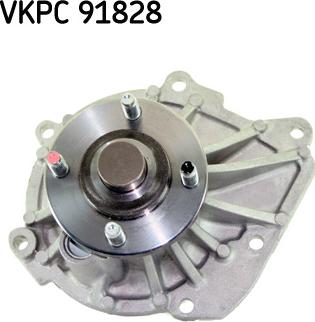 SKF VKPC 91828 - Su nasosu furqanavto.az