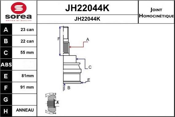 SNRA JH22044K - Birləşmə dəsti, ötürücü val furqanavto.az