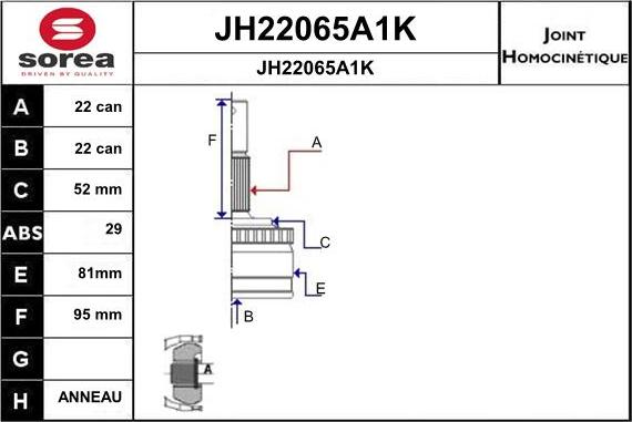 SNRA JH22065A1K - Birləşmə dəsti, ötürücü val furqanavto.az