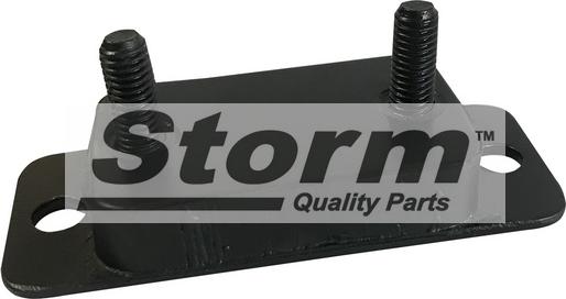 Storm F2153 - Saxlama braketi, səsboğucu furqanavto.az