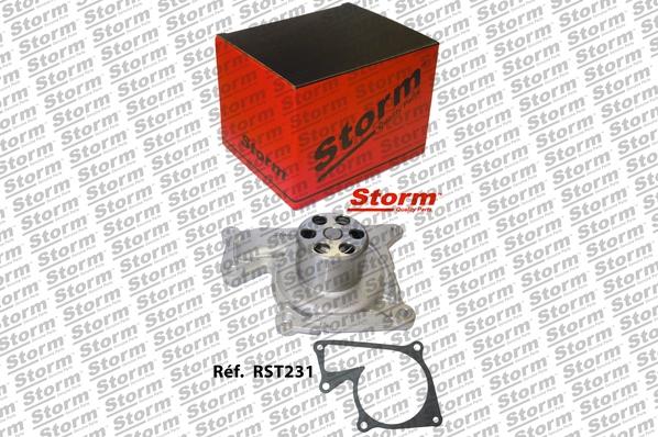 Storm RST231 - Su nasosu furqanavto.az