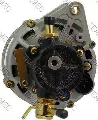 Teamec 211813 - Alternator furqanavto.az