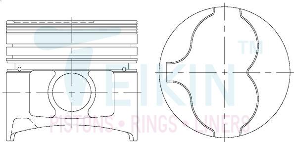 Teikin 44623AG.050 - Piston furqanavto.az