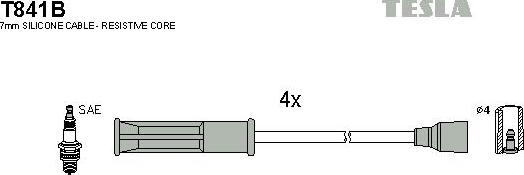 TESLA T841B - Alovlanma kabeli dəsti furqanavto.az