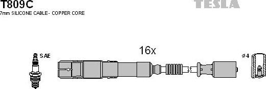 TESLA T809C - Alovlanma kabeli dəsti furqanavto.az