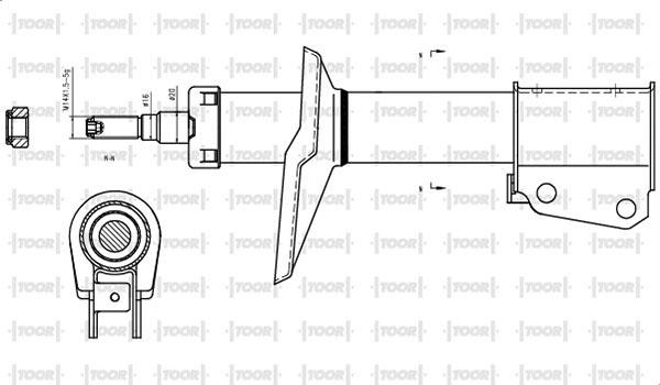 TOOR SG12570 - Amortizator furqanavto.az