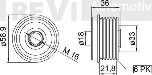 Trevi Automotive AP1112 - Kasnak, alternator, sərbəst dönərli mufta furqanavto.az