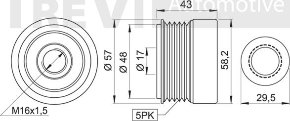 Trevi Automotive AP1125 - Kasnak, alternator, sərbəst dönərli mufta furqanavto.az