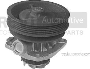 Trevi Automotive TP652 - Su nasosu furqanavto.az