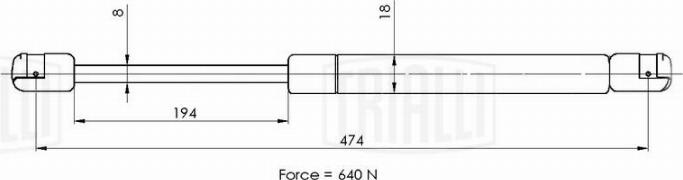 Trialli GS 2119 - Qazlı bulaq, baqaj, yük yeri furqanavto.az