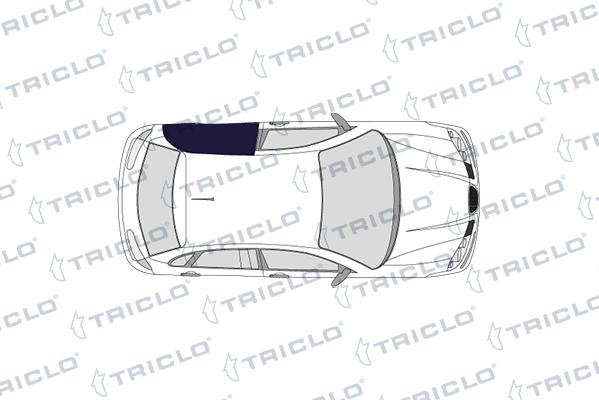 Triclo 115641 - Pəncərə tənzimləyicisi furqanavto.az
