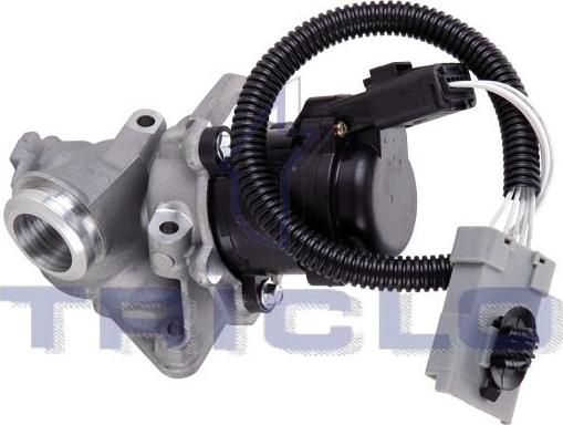 Triclo 348406 - EGR Valf furqanavto.az