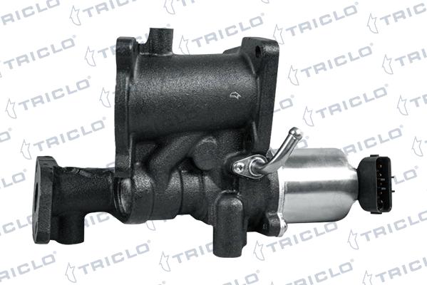 Triclo 347460 - EGR Valf furqanavto.az