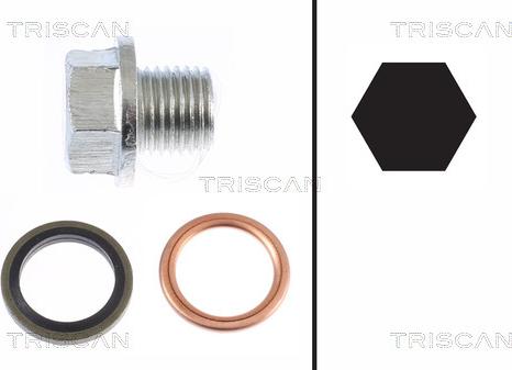 Triscan 9500 1001 - Möhürləyici tıxac, yağ çəni furqanavto.az