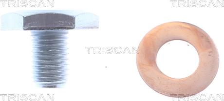 Triscan 9500 1010-20 - Möhürləyici tıxac, yağ çəni furqanavto.az