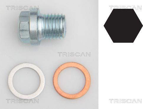 Triscan 9500 1011 - Möhürləyici tıxac, yağ çəni furqanavto.az