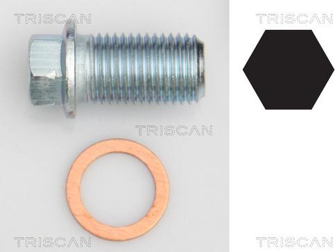 Triscan 9500 1012 - Möhürləyici tıxac, yağ çəni furqanavto.az