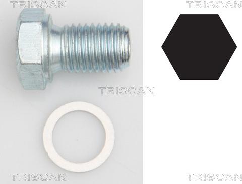 Triscan 9500 1101 - Möhürləyici tıxac, yağ çəni furqanavto.az