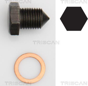 Triscan 9500 2907 - Möhürləyici tıxac, yağ çəni furqanavto.az