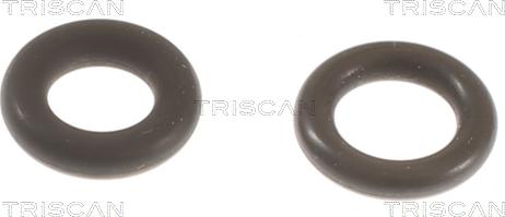 Triscan 596-1003 - Mühür dəsti, injektor ucluğu furqanavto.az