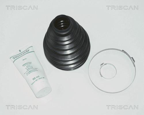 Triscan 8540 10808 - Körük, sürücü val furqanavto.az