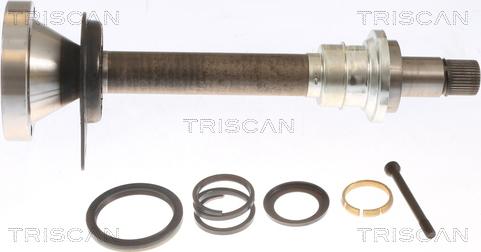 Triscan 8540 295023 - Dirək valının mərkəzi rulman dəstəyi furqanavto.az