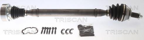 Triscan 8540 295070 - Sürücü mili furqanavto.az