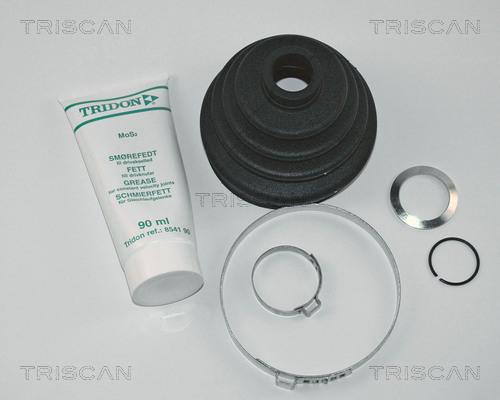 Triscan 8540 29802 - Körük, sürücü val furqanavto.az