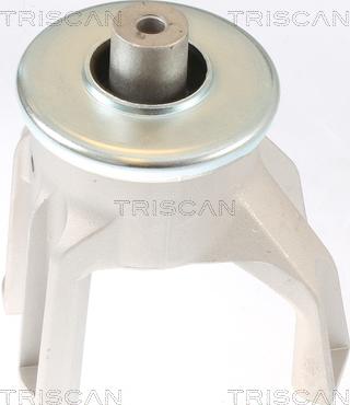 Triscan 8505 29187 - Tutacaq, mühərrik montajı furqanavto.az