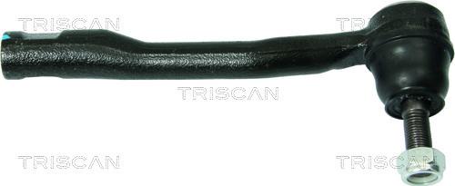 Triscan 8500 13123 - Bağlama çubuğunun sonu furqanavto.az