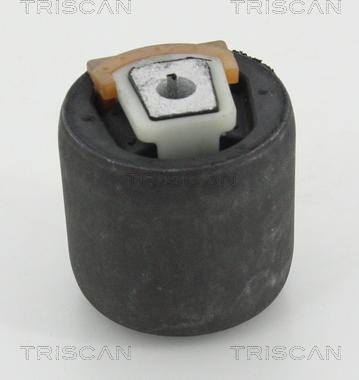 Triscan 8500 298036 - Nəzarət Kolu / Arxa Qol furqanavto.az