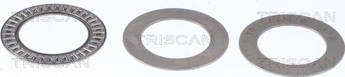 Triscan 8500 24925 - Üst Strut Montajı furqanavto.az