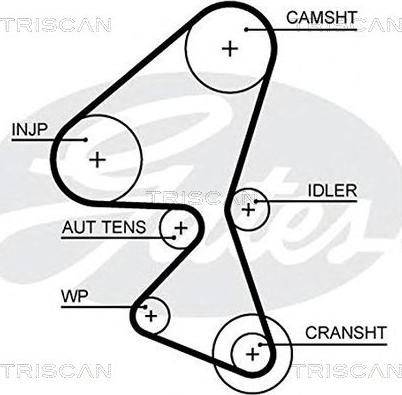 Triscan 8645 5657xs - Vaxt kəməri furqanavto.az