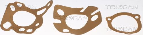 Triscan 8620 2992 - Termostat, soyuducu furqanavto.az