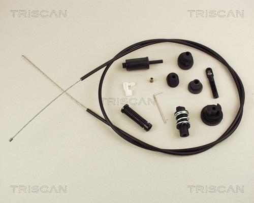 Triscan 8140 10306 - Sürətləndirici kabel furqanavto.az