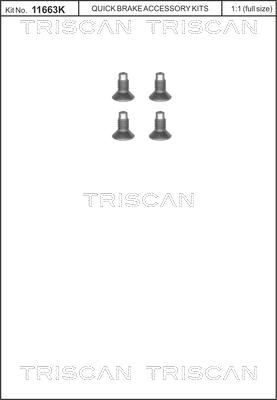 Triscan 8105 116004 - Vida dəsti, əyləc diski furqanavto.az