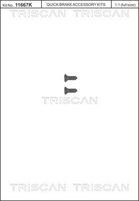 Triscan 8105 116008 - Vida dəsti, əyləc diski furqanavto.az