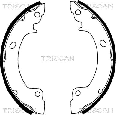 Triscan 8100 43529 - Əyləc Başlığı Dəsti furqanavto.az