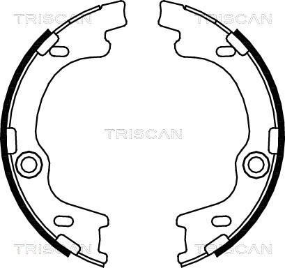 Triscan 8100 43021 - Əyləc Başlığı Dəsti furqanavto.az