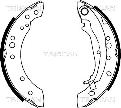 Triscan 8100 42020 - Əyləc Başlığı Dəsti furqanavto.az