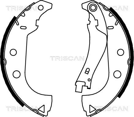 Triscan 8100 15020 - Əyləc Başlığı Dəsti furqanavto.az