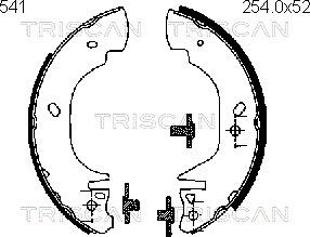 Triscan 8100 16541 - Əyləc Başlığı Dəsti furqanavto.az