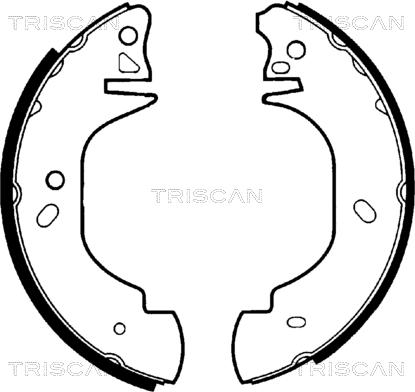 Triscan 8100 16570 - Əyləc Başlığı Dəsti furqanavto.az