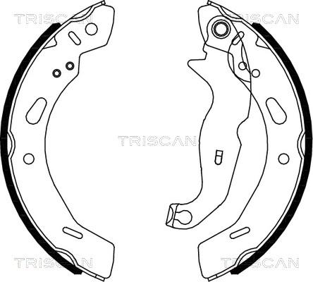 Triscan 8100 16013 - Əyləc Başlığı Dəsti furqanavto.az