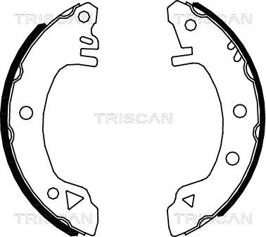 Triscan 8100 16375 - Əyləc Başlığı Dəsti furqanavto.az