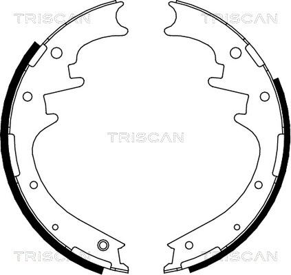 Triscan 8100 10016 - Əyləc Başlığı Dəsti furqanavto.az